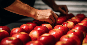 A importância das certificações na indústria de alimentos e bebidas: garantia de segurança e qualidade